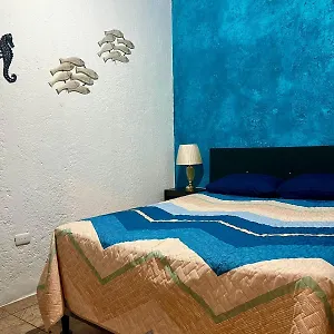 Wonderland B&B - Shuttle Services Available Guatemala